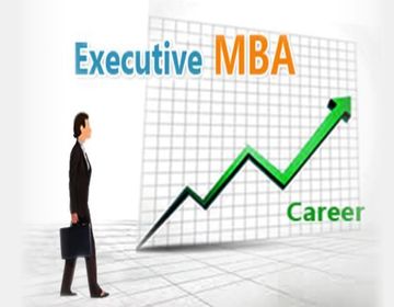 1 Year Executive MBA Program